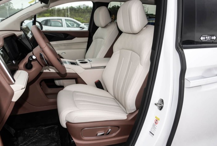 BYD Xia DM-i-11