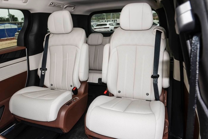 BYD Xia DM-i-12